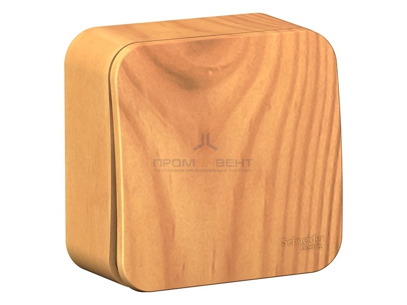 Кнопочный выключатель с самовозвратом (cх.1) Blanca Schneider Electric 10А ясень изол.пластина